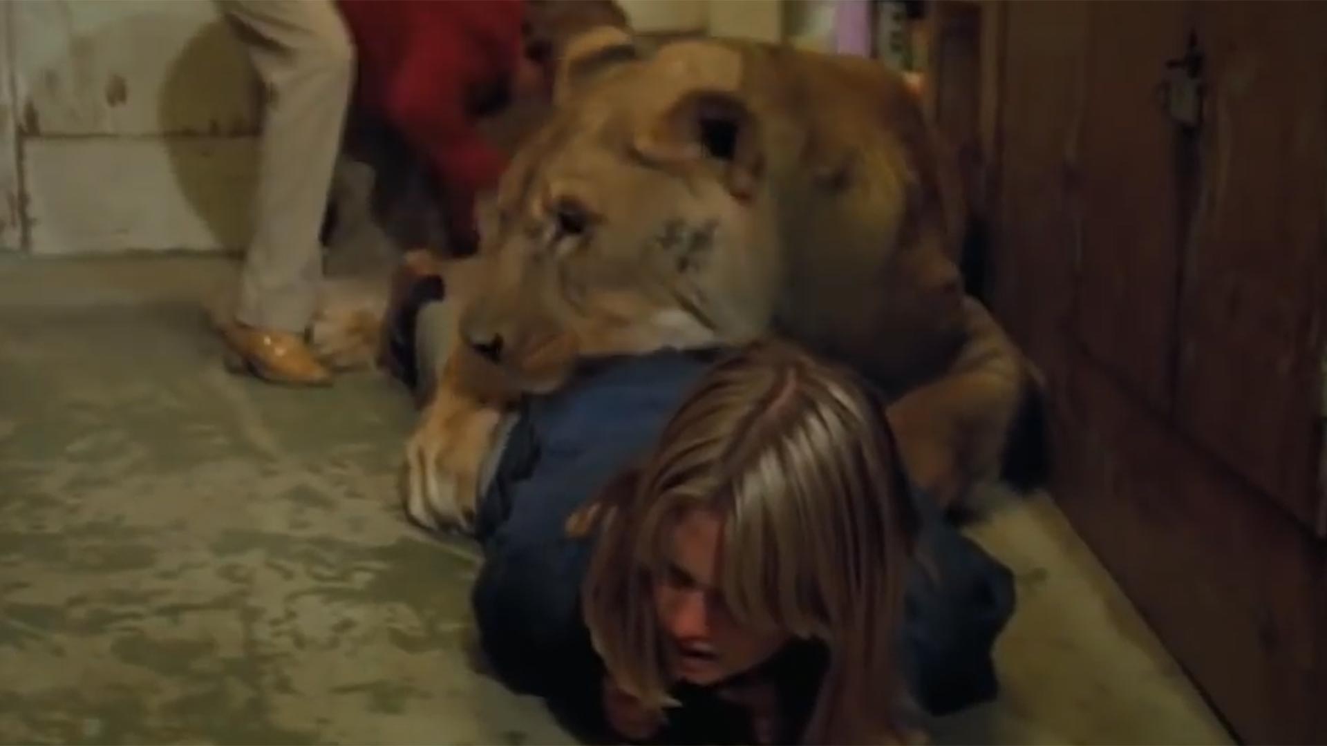 Melanie Griffith, la actriz que de niña recibió un macabro regalo y  convivió con 71 leones - Infobae